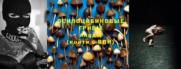 стафф Балахна