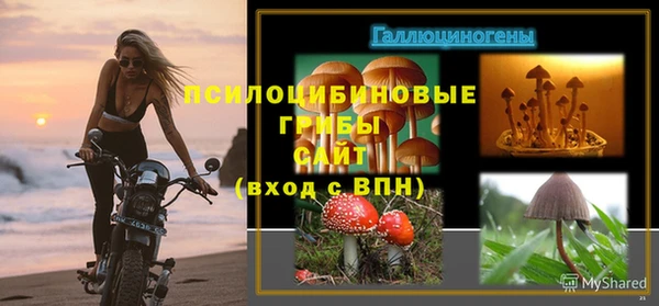 бошки Анива