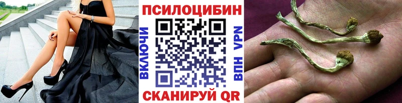 как найти закладки  Барабинск  Псилоцибиновые грибы Psilocybine cubensis 